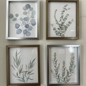Set of Four Botanical Framed Prints + Flower Print